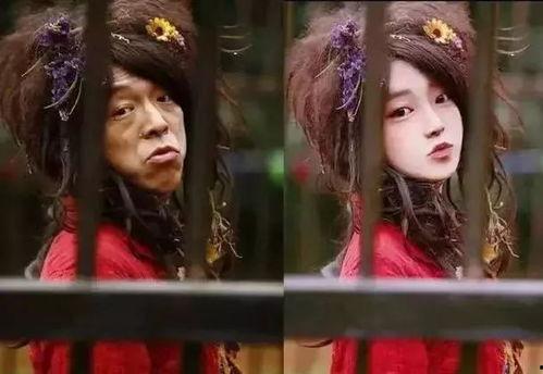 天天p图 明星合影,再现娱乐圈美好瞬间